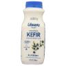 WHOLE MILK BLUEBERRY KEFIR