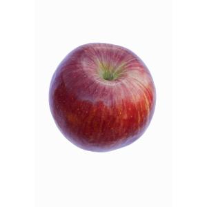 Safety Works - Apple Winesap Large